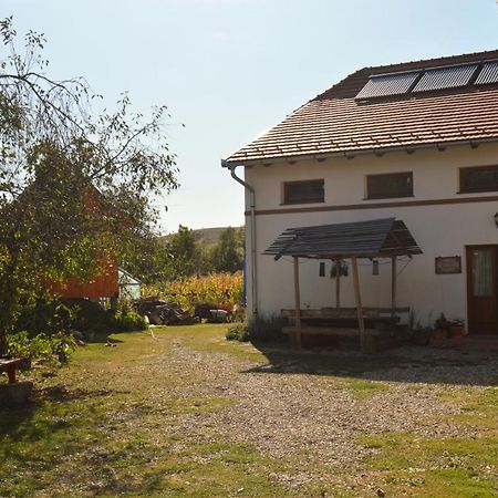 Pensiune Agroturistica Hanna Ocland Exterior photo