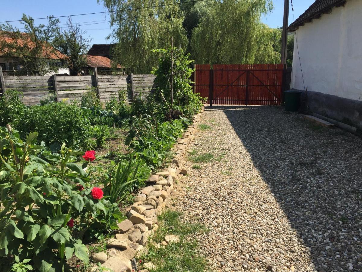 Pensiune Agroturistica Hanna Ocland Exterior photo