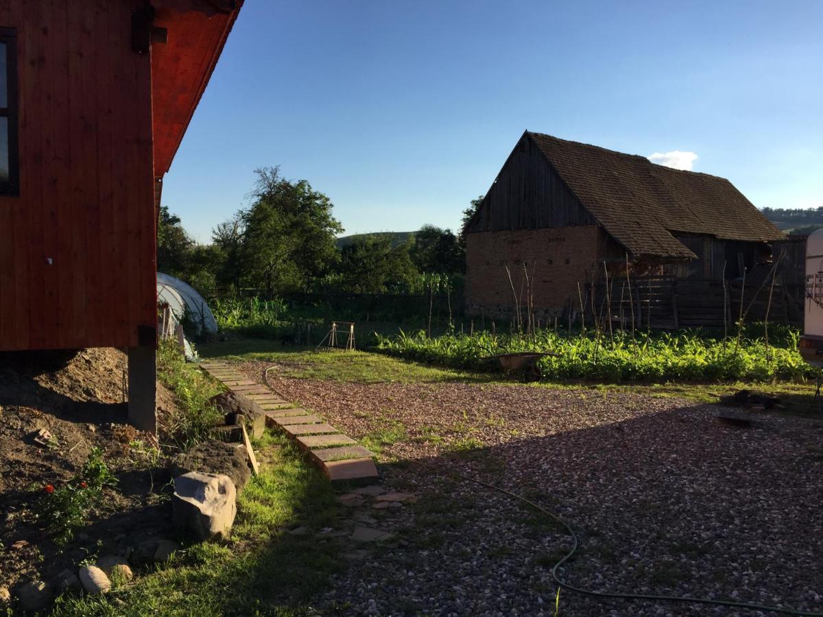 Pensiune Agroturistica Hanna Ocland Exterior photo