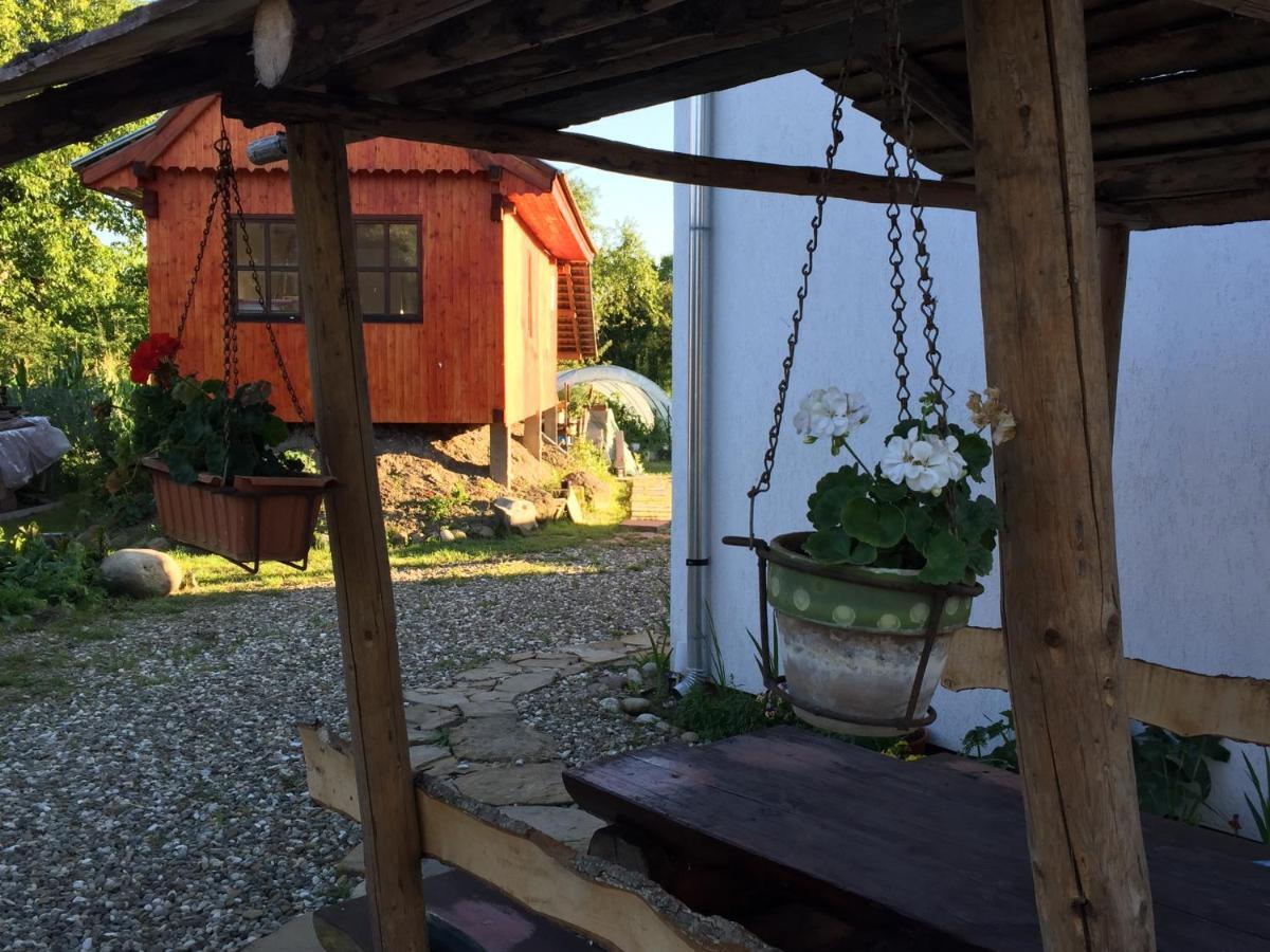 Pensiune Agroturistica Hanna Ocland Exterior photo