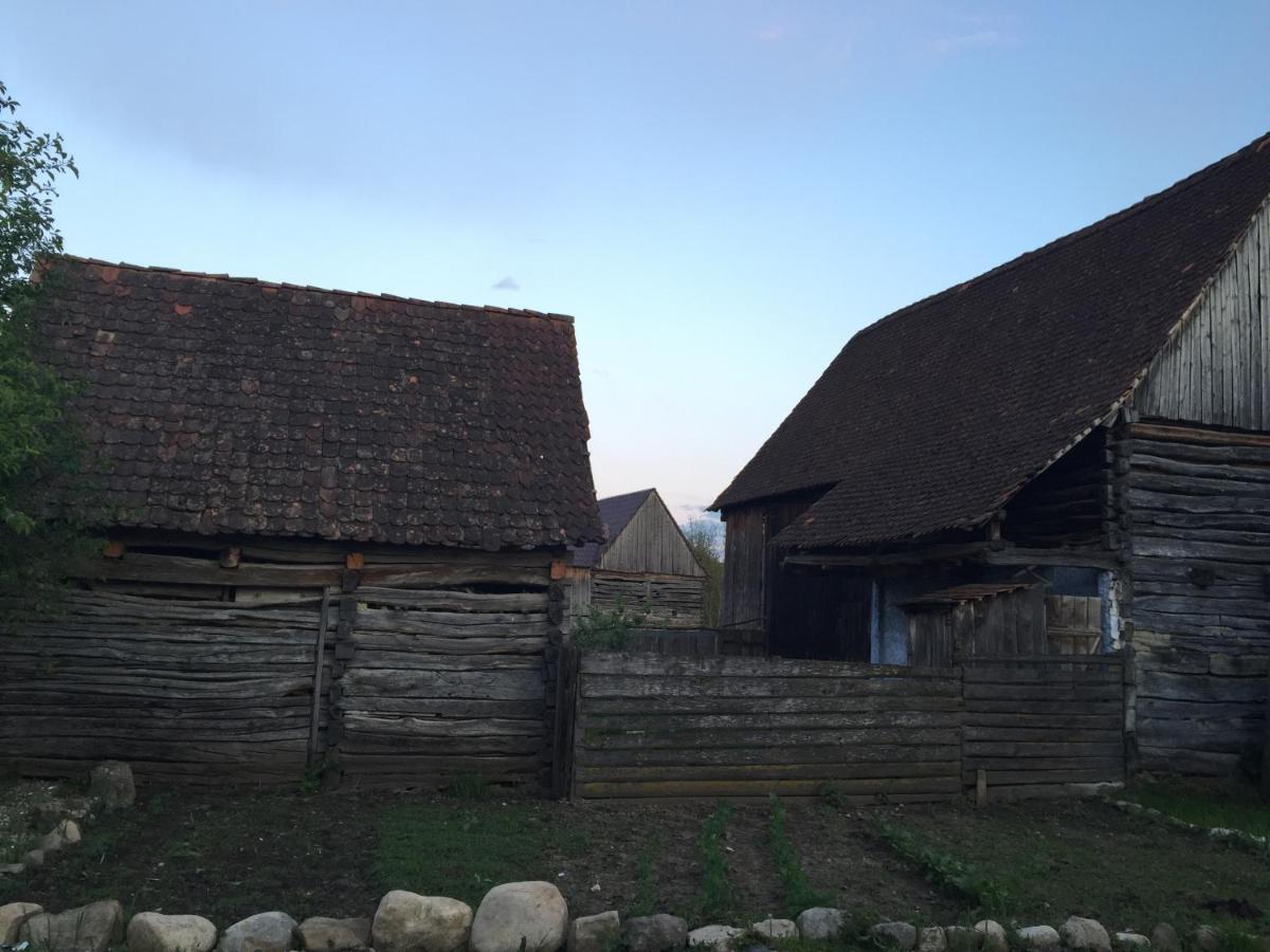 Pensiune Agroturistica Hanna Ocland Exterior photo